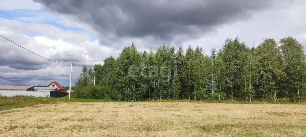 Участок в Тюменская область, Тюмень Зеленый Бор ДНТСН, ул. Крымская ... - Фото 1