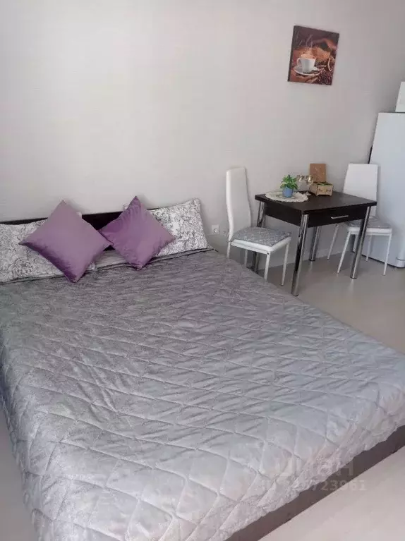 Студия Санкт-Петербург пос. Шушары, просп. Старорусский, 8к1 (24.0 м) - Фото 2