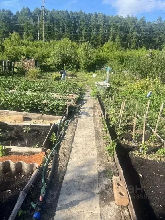 Участок в Башкортостан, Ишимбай Имени Гастелло СТ, 24 (8.0 сот.) - Фото 2