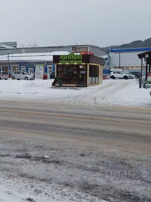 Торговая площадь в Алтайский край, Белокуриха ул. Академика Мясникова, ... - Фото 2