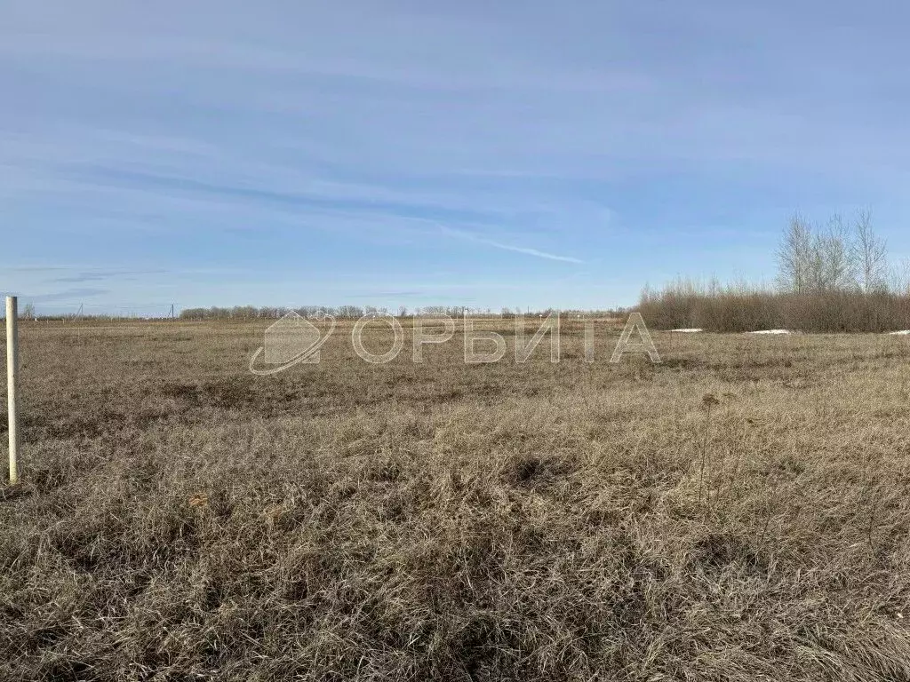 Участок в Тюменская область, Тюменский муниципальный округ, с. Чикча  ... - Фото 1