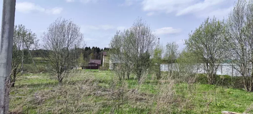 Участок в Московская область, Солнечногорск городской округ, д. ... - Фото 1