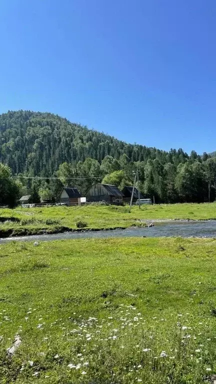 Участок в Алтай, Чемальский район, Элекмонарское с/пос, пос. Каракол  ... - Фото 2