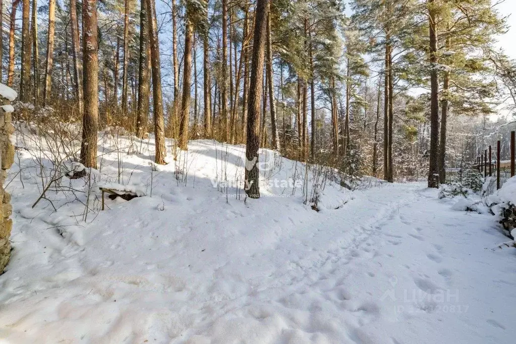 Участок в Санкт-Петербург пос. Солнечное, Ласковый Пляж тер.,  (30.0 ... - Фото 1