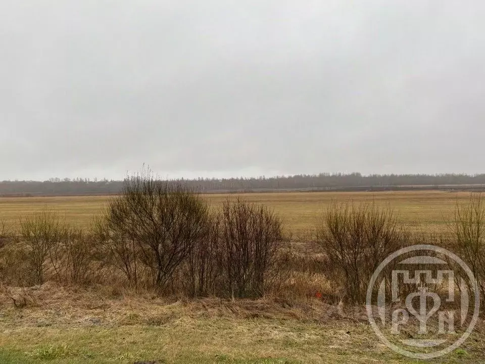 Участок в Ленинградская область, Волховский район, Свирицкое с/пос, ... - Фото 1