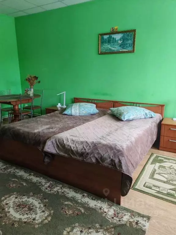 1-к кв. Псковская область, Печоры Рижская ул., 10 (31.0 м) - Фото 1