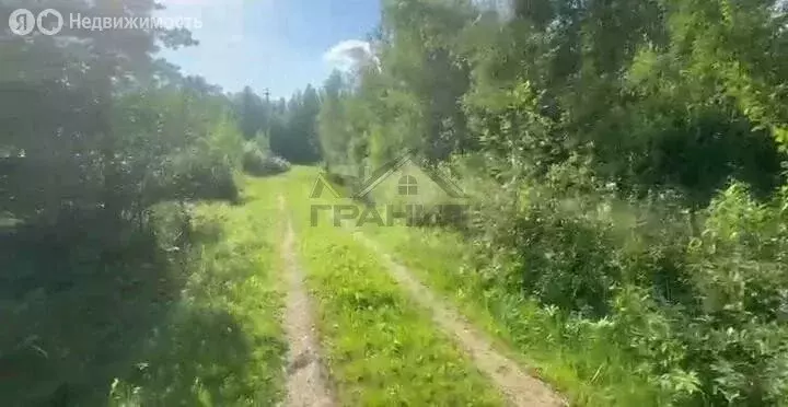 Участок в Новгородская область, Маловишерское городское поселение, ... - Фото 1