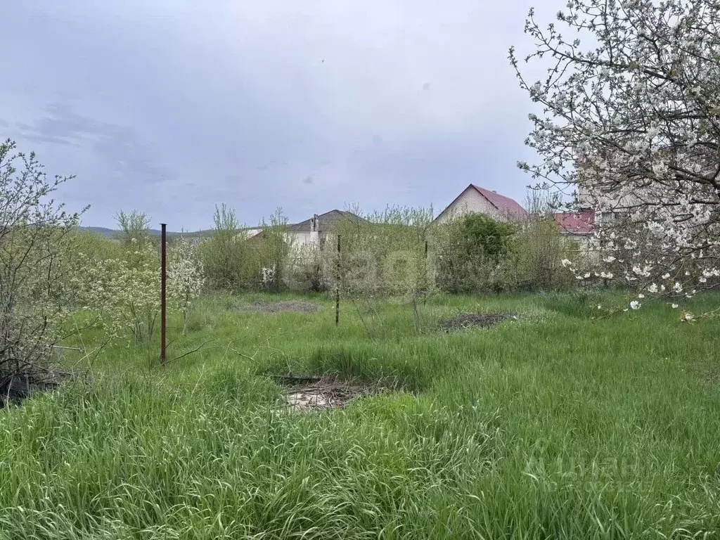 Участок в Краснодарский край, Новороссийск городской округ, Раевская ... - Фото 2
