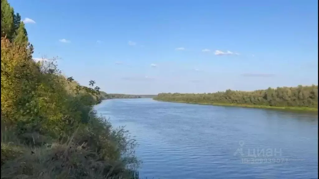 Участок в Нижегородская область, Пильнинский муниципальный округ, д. ... - Фото 0