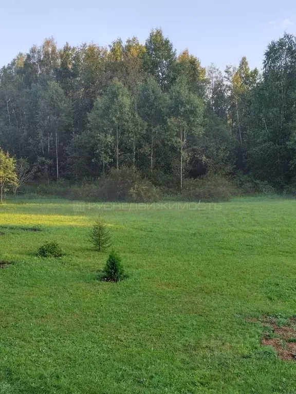 Участок в Кировская область, Слободской район, Ильинское с/пос, с. ... - Фото 2