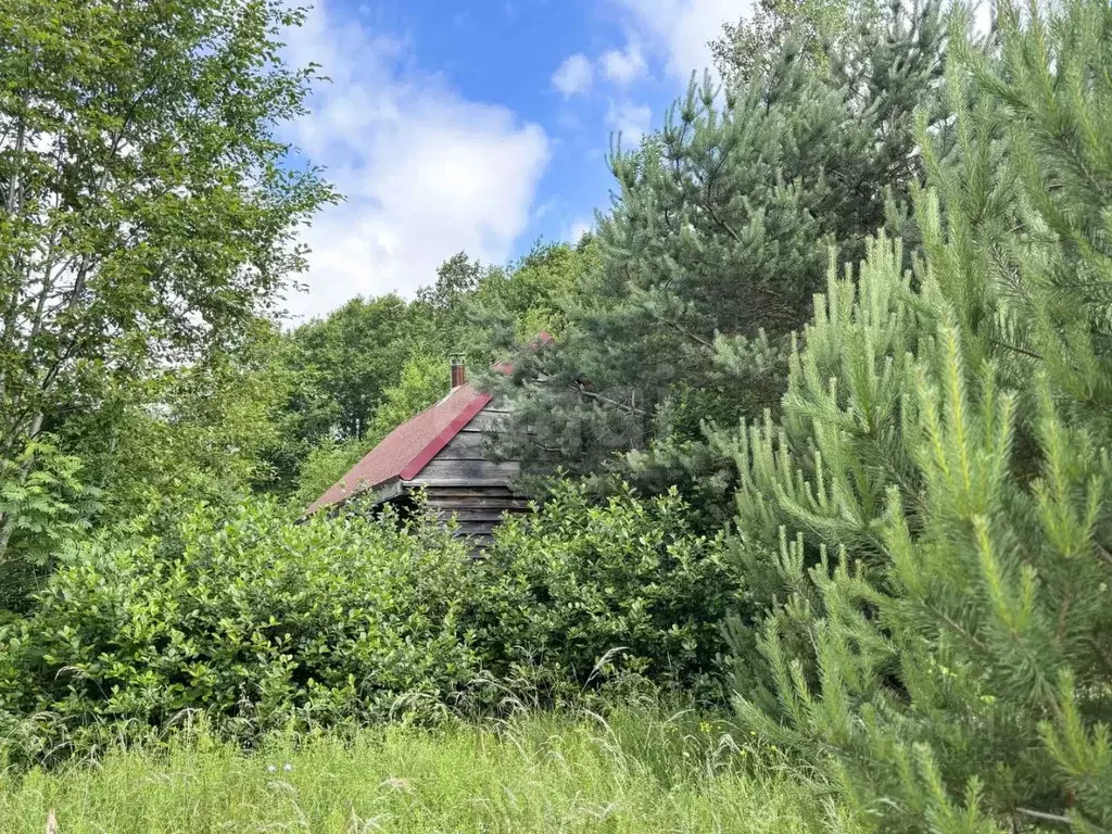 Участок в Псковская область, Псковский муниципальный округ, ... - Фото 1
