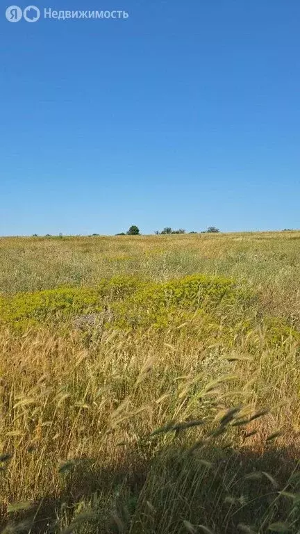 Участок в Барнаул, микрорайон Авиатор (4 м) - Фото 1