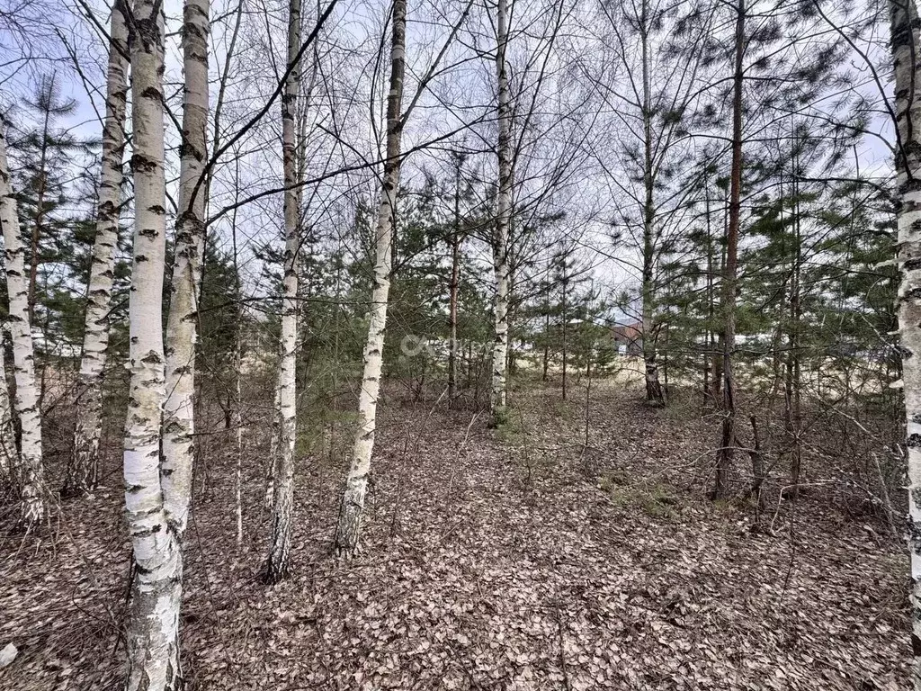 Участок в Московская область, Одинцово Отдых СНТ, 16 (8.63 сот.) - Фото 1