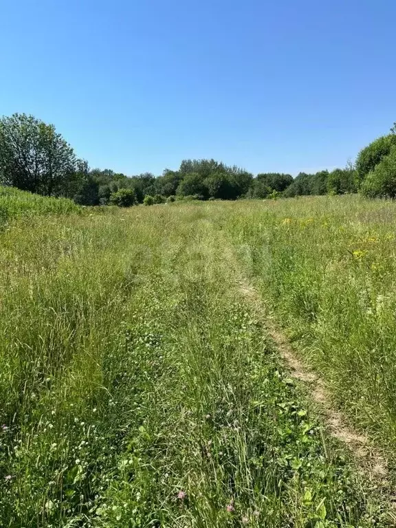 Участок в Владимирская область, Александровский район, Каринское ... - Фото 0