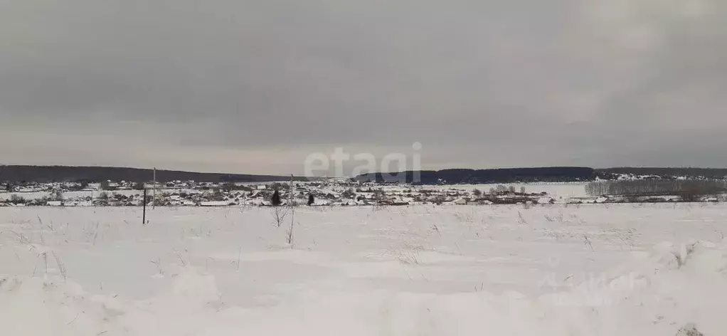 Участок в Мордовия, Кочкуровский район, с. Новая Пырма ул. Лесная ... - Фото 0