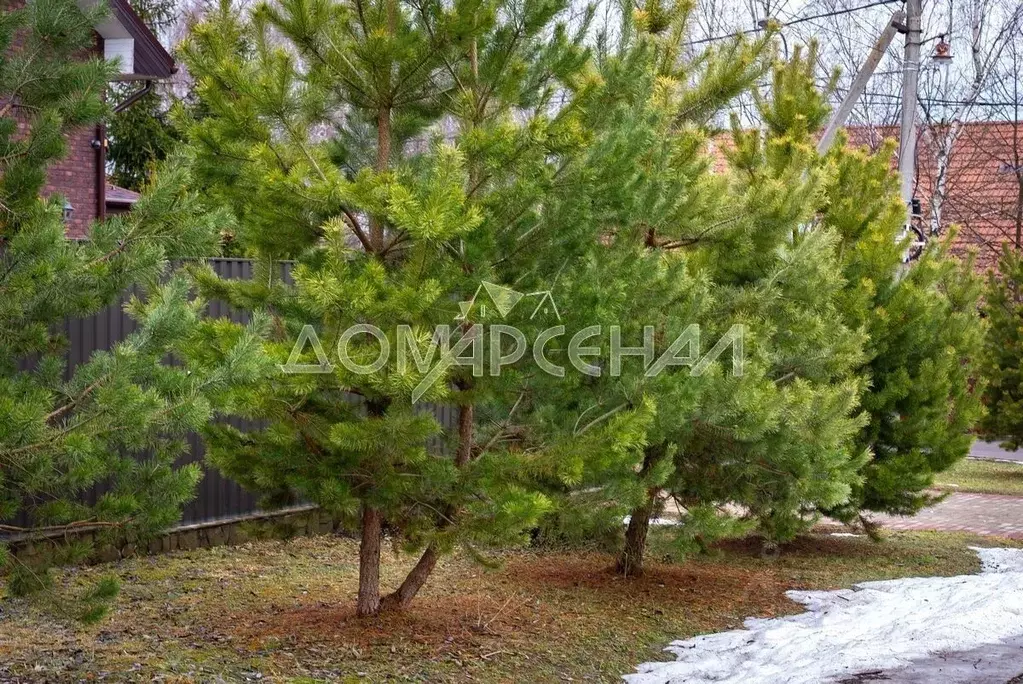 Участок в Москва д. Милюково,  (45.0 сот.) - Фото 0