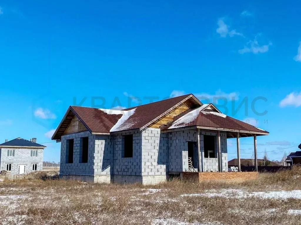 Коттедж в Омская область, Омский район, с. Дружино, Микрорайон ... - Фото 1