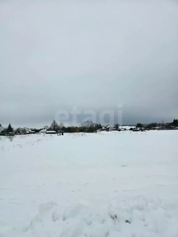 Участок в Тульская область, Веневский муниципальный округ, с. ... - Фото 1
