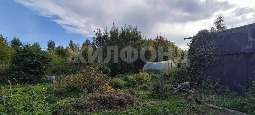 Участок в Новосибирская область, Новосибирск ул. Набережная Плющихи ... - Фото 1