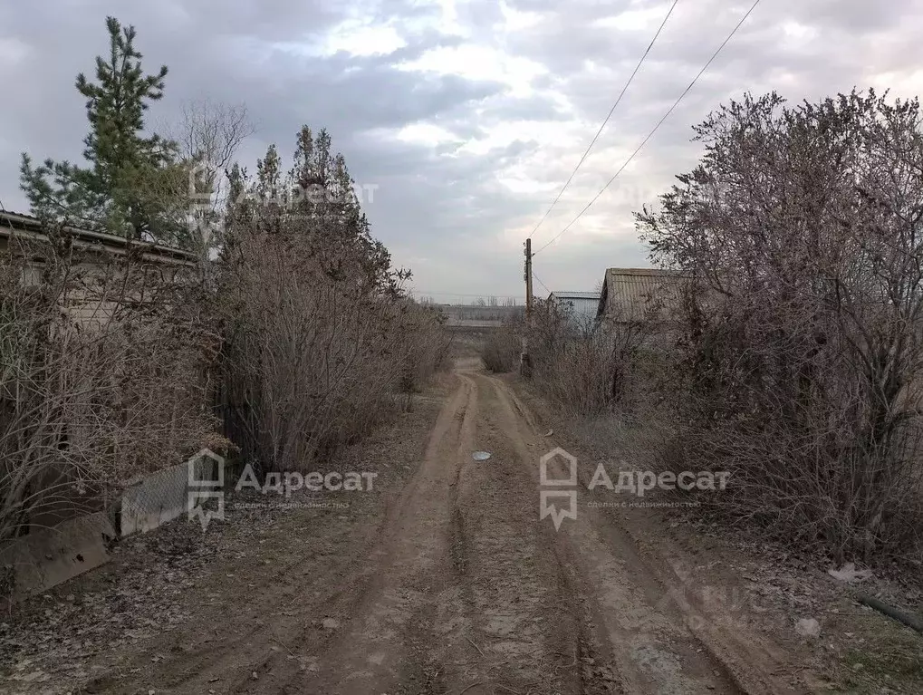 Дом в Волгоградская область, Волгоград ул. Можжевеловая (24 м) - Фото 1