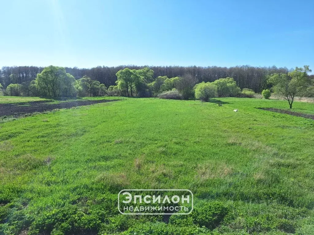 Участок в Курская область, Курский район, Брежневский сельсовет, с. ... - Фото 0