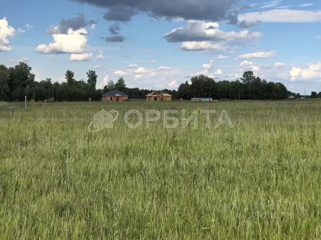 Участок в Тюменская область, Тюменский район, Новокаменский кп ул. ... - Фото 1