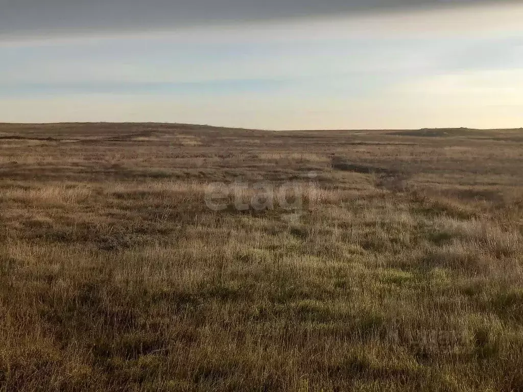 Участок в Крым, Ленинский район, с. Калиновка ул. Шевченко (6.3 сот.) - Фото 0