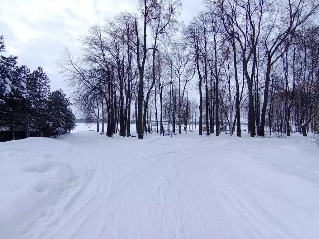 1-комнатная квартира: посёлок Каменники, улица Энергетиков, 3 (21.8 м) - Фото 1