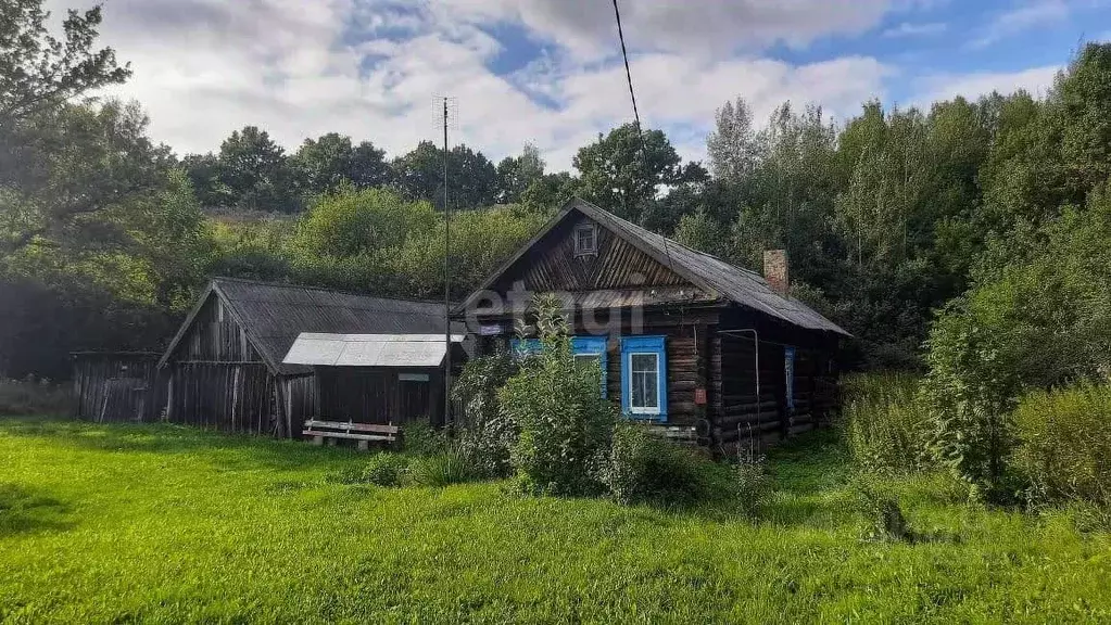 Дом в Татарстан, Елабужский район, Лекаревское с/пос, д. Старые Армалы ... - Фото 0