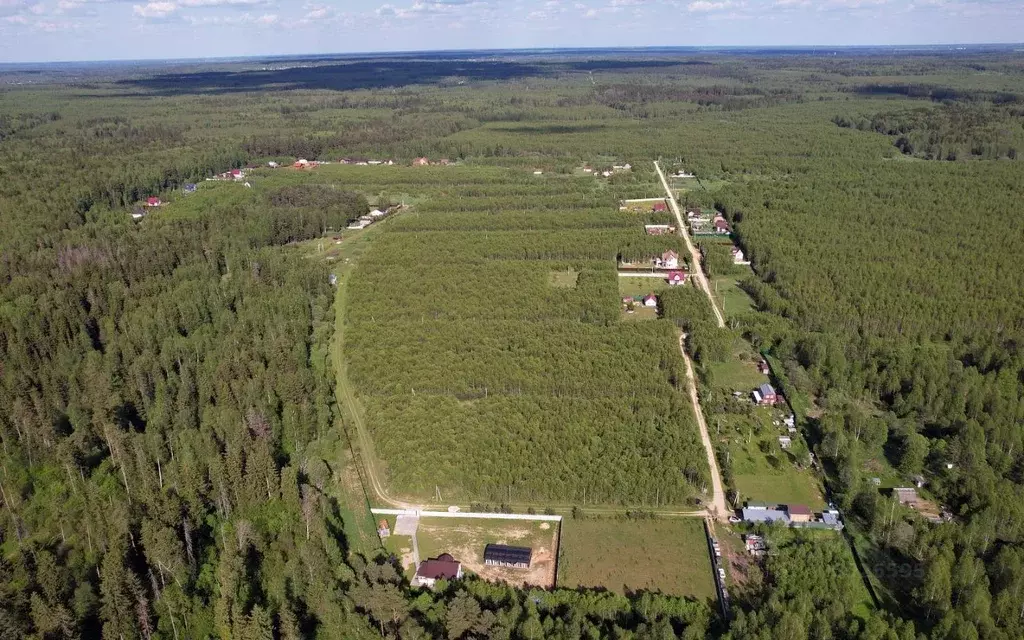 Участок в Московская область, Можайский городской округ, Лесные ... - Фото 1