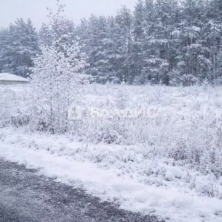Участок в Нижегородская область, Богородский муниципальный округ, с. ... - Фото 1