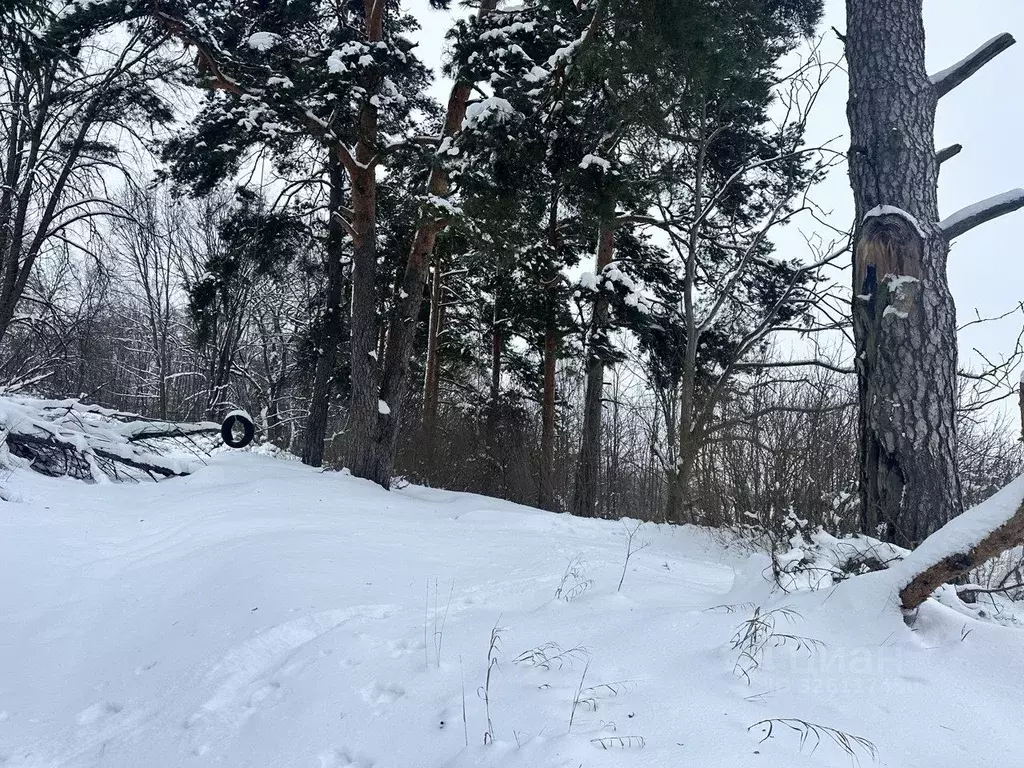 Участок в Московская область, Истра муниципальный округ, д. Дергайково ... - Фото 1