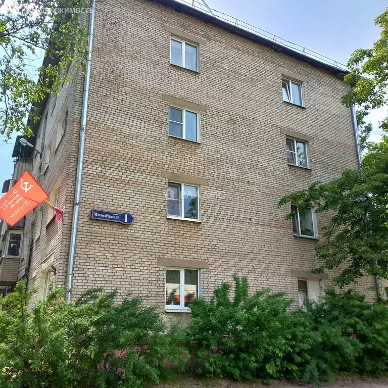 2-комнатная квартира: Белоозёрский, Молодёжная улица, 1 (47 м) - Фото 2