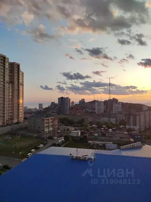 1-к кв. Приморский край, Владивосток ул. Толстого, 32 (35.0 м) - Фото 1