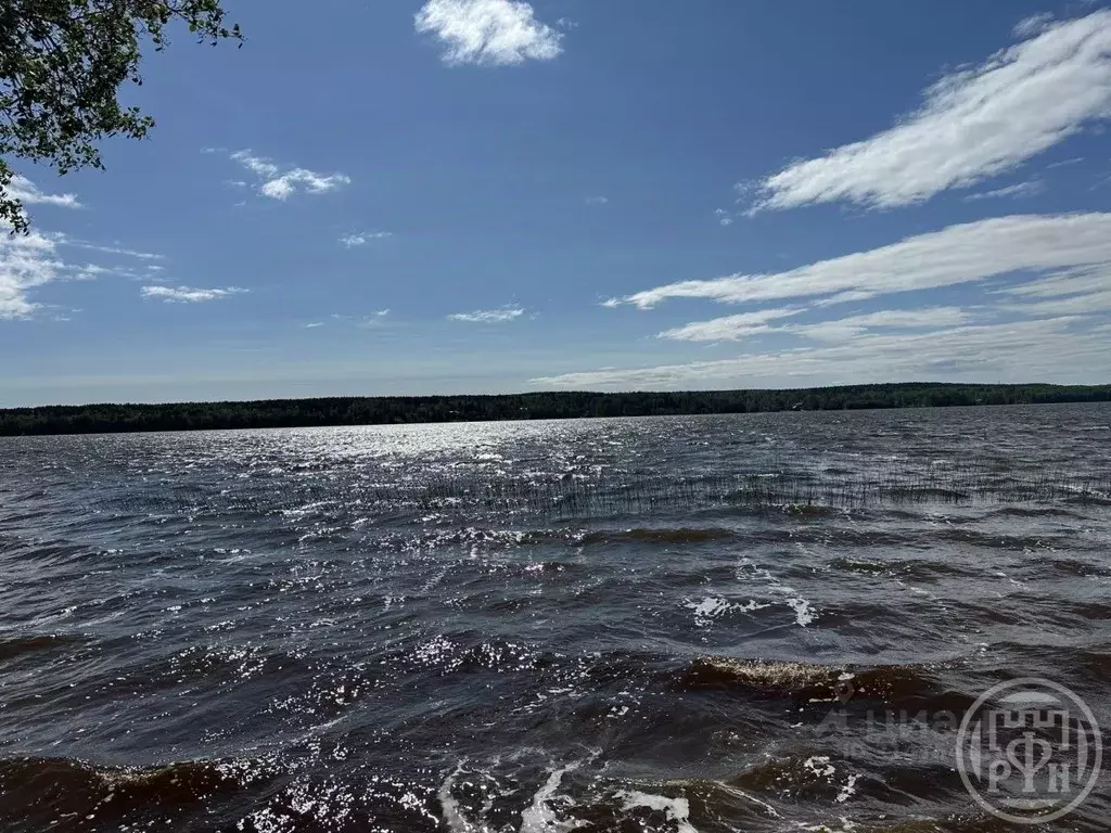 Участок в Ленинградская область, Выборгский район, Полянское с/пос, ... - Фото 2