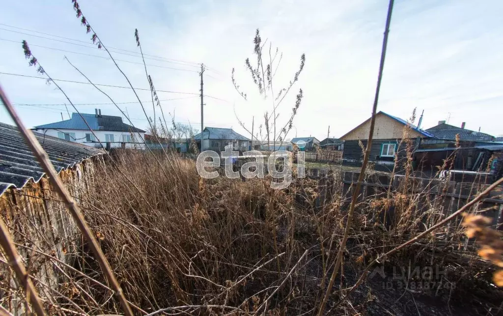 Участок в Курганская область, Шадринский муниципальный округ, д. ... - Фото 1