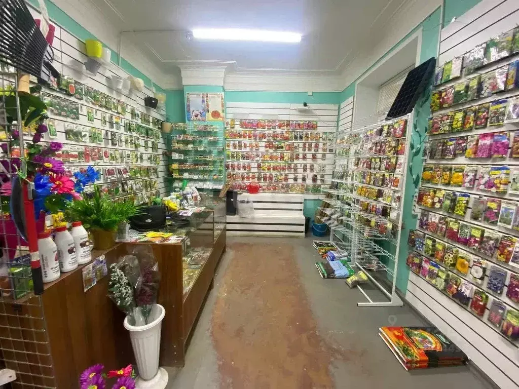 Помещение свободного назначения в Тверская область, Тверь просп. ... - Фото 1