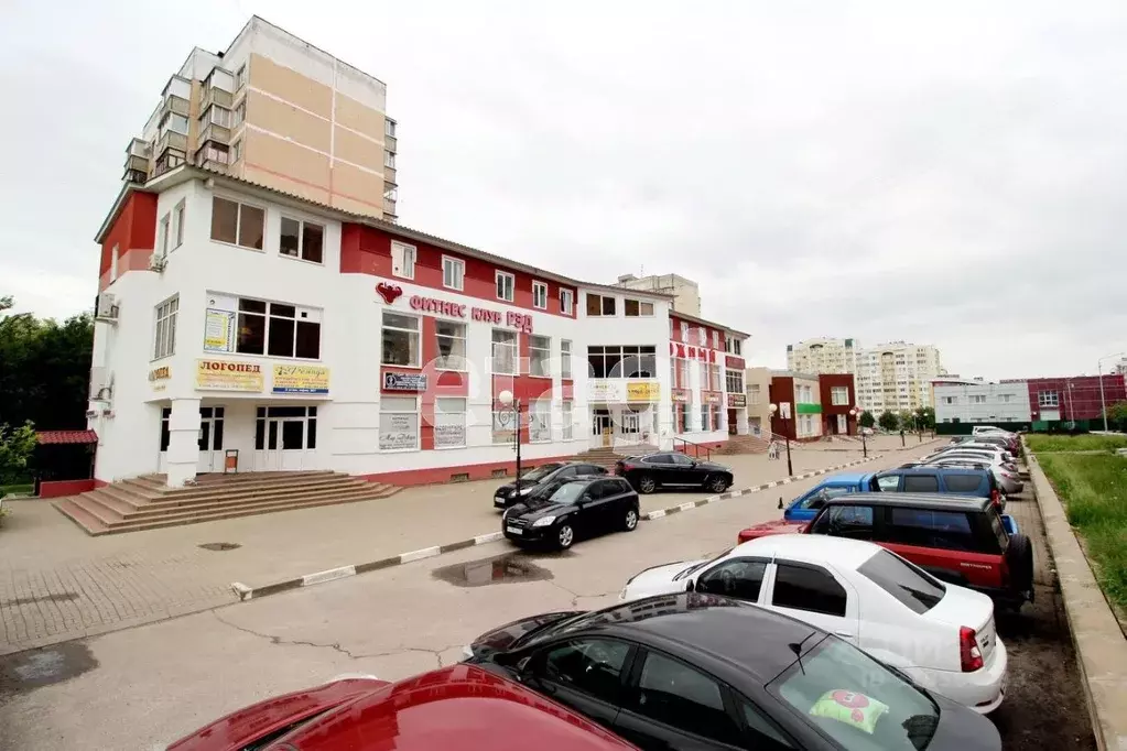 Торговая площадь в Белгородская область, Белгород ул. Щорса, 54 (1194 ... - Фото 2