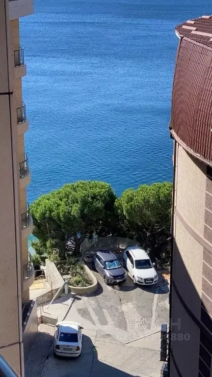 Студия Крым, Ялта муниципальный округ, Отрадное пгт спуск Морской, 6 ... - Фото 0