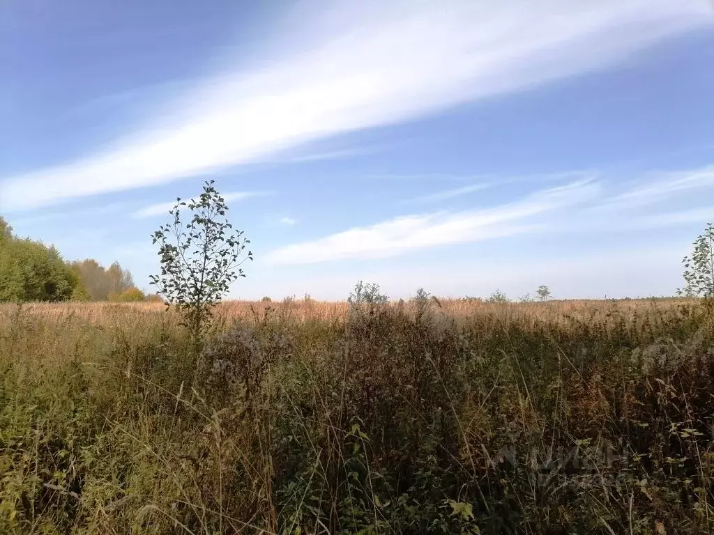 Участок в Владимирская область, Киржачский район, д. Маринкино  (370.0 ... - Фото 1