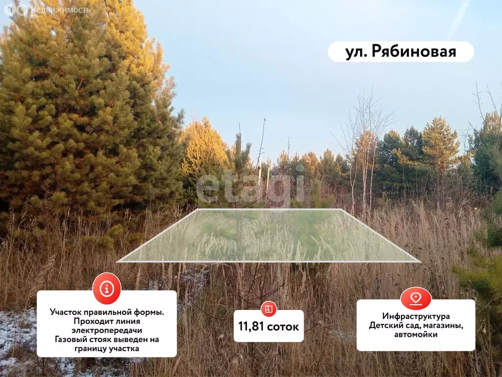 Участок в Камышлов, Рябиновая улица (11.81 м) - Фото 2