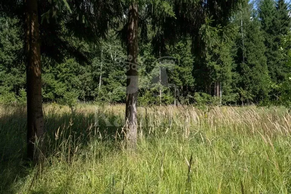 Участок в Московская область, Красногорск городской округ, д. ... - Фото 1