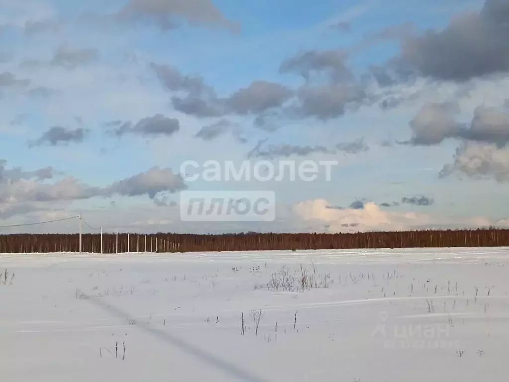 Участок в Ярославская область, Переславль-Залесский муниципальный ... - Фото 0