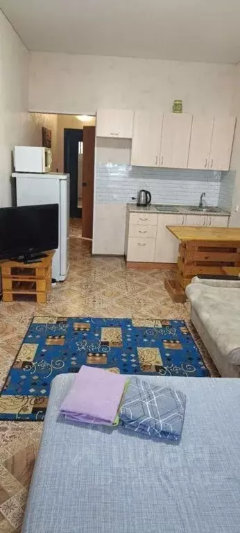 1-к кв. Томская область, Томск ул. Ивана Черных, 66 (26.0 м) - Фото 0