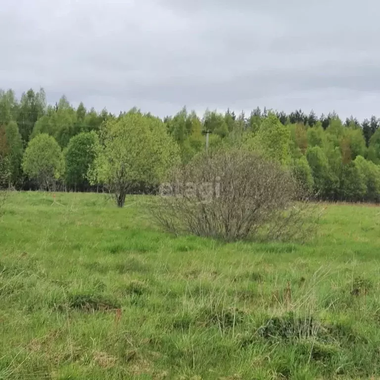 Участок в Псковская область, Печорский муниципальный округ, д. ... - Фото 0