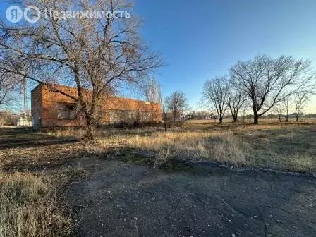 Помещение свободного назначения (316.3 м) - Фото 1