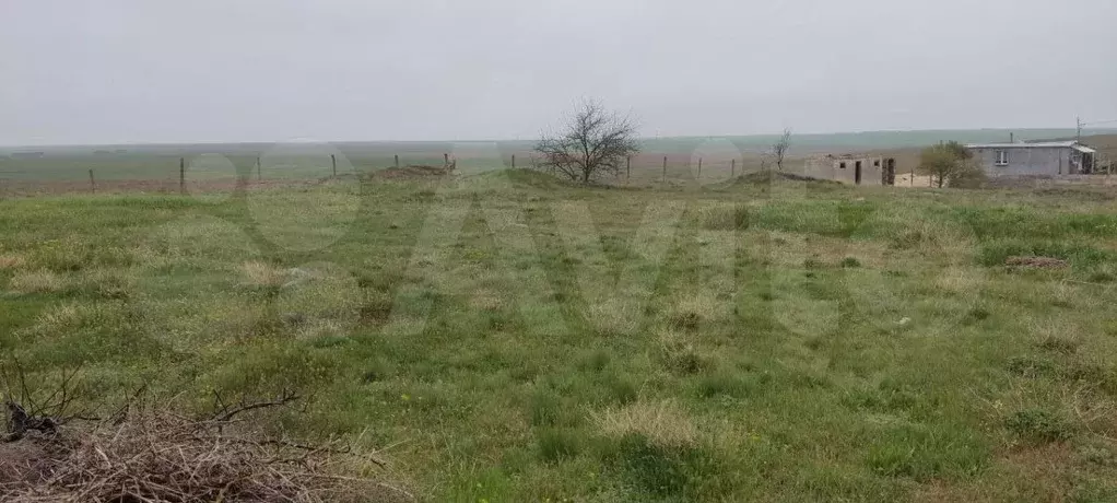 Участок 11,6 сот. (СНТ, ДНП) - Фото 1