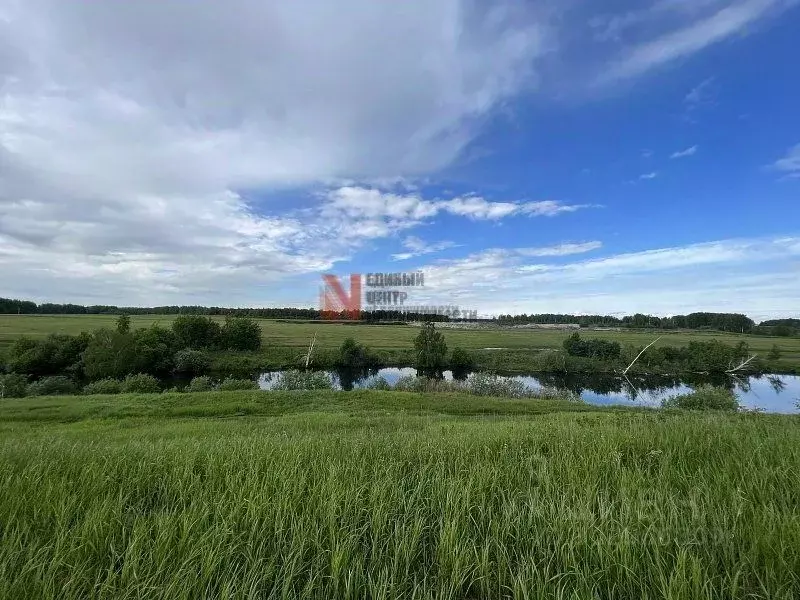 Участок в Тюменская область, Тюменский район, с. Кулаково ул. Уютная ... - Фото 1