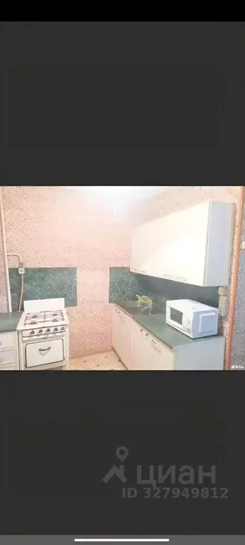 1-к кв. Алтайский край, Барнаул ул. Никитина, 59 (32.7 м) - Фото 2