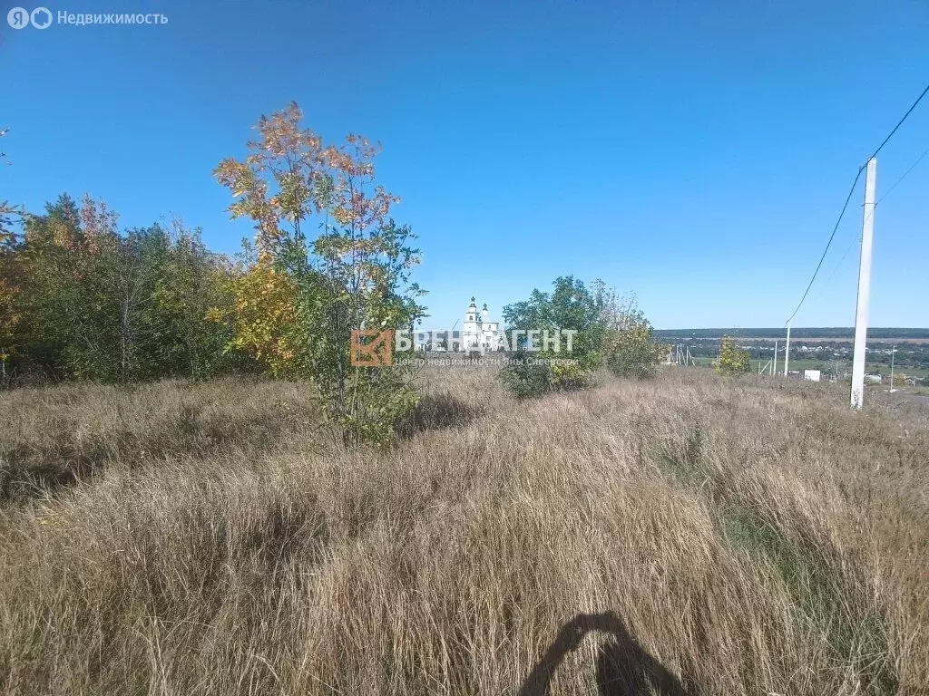 Участок в Белгородский район, Беломестненское сельское поселение, село ... - Фото 1